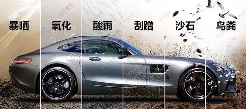 东华汽车喷漆价格多少